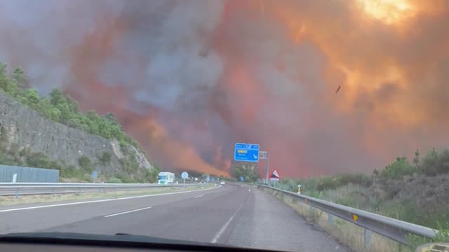 Driving Through a Forest Fire on the Highway