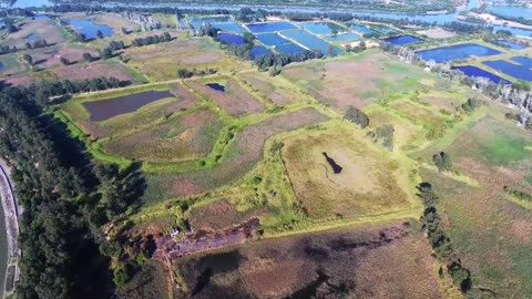 Fields _ Agriculture _ Nature _ Meadow _ DRONE _HD Videos