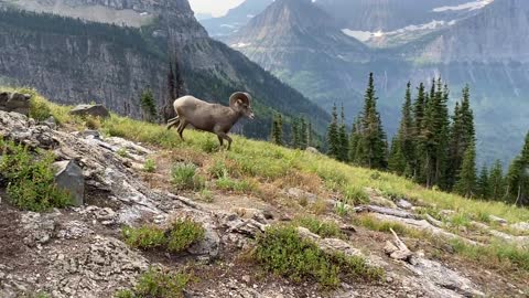 Epic Scenery Provides Perfect Backdrop for Life Changing Surprise