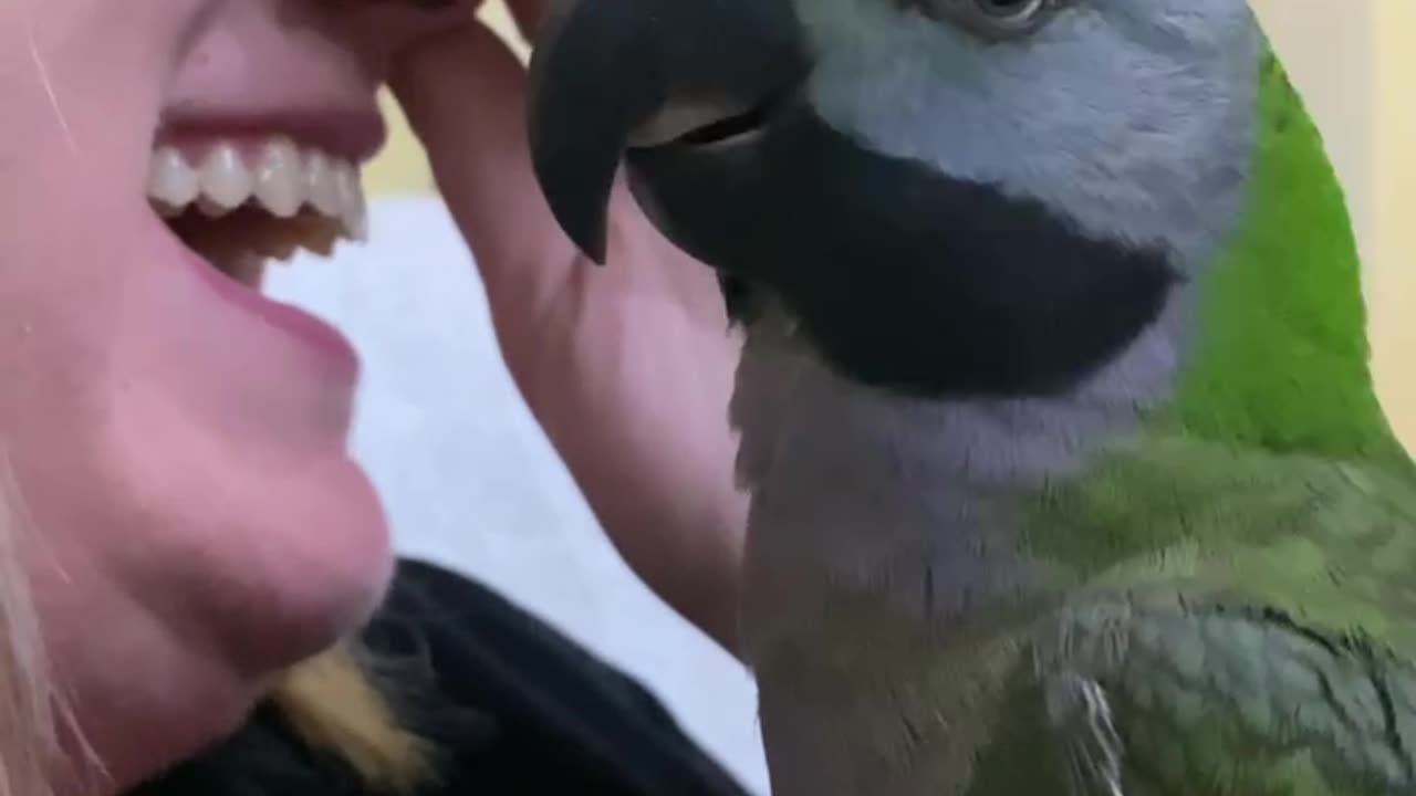 Parrot Mocks Owner's Cough