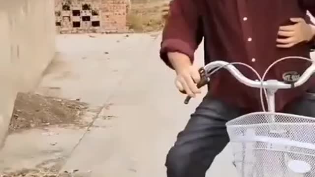 Best funny Videos 2022