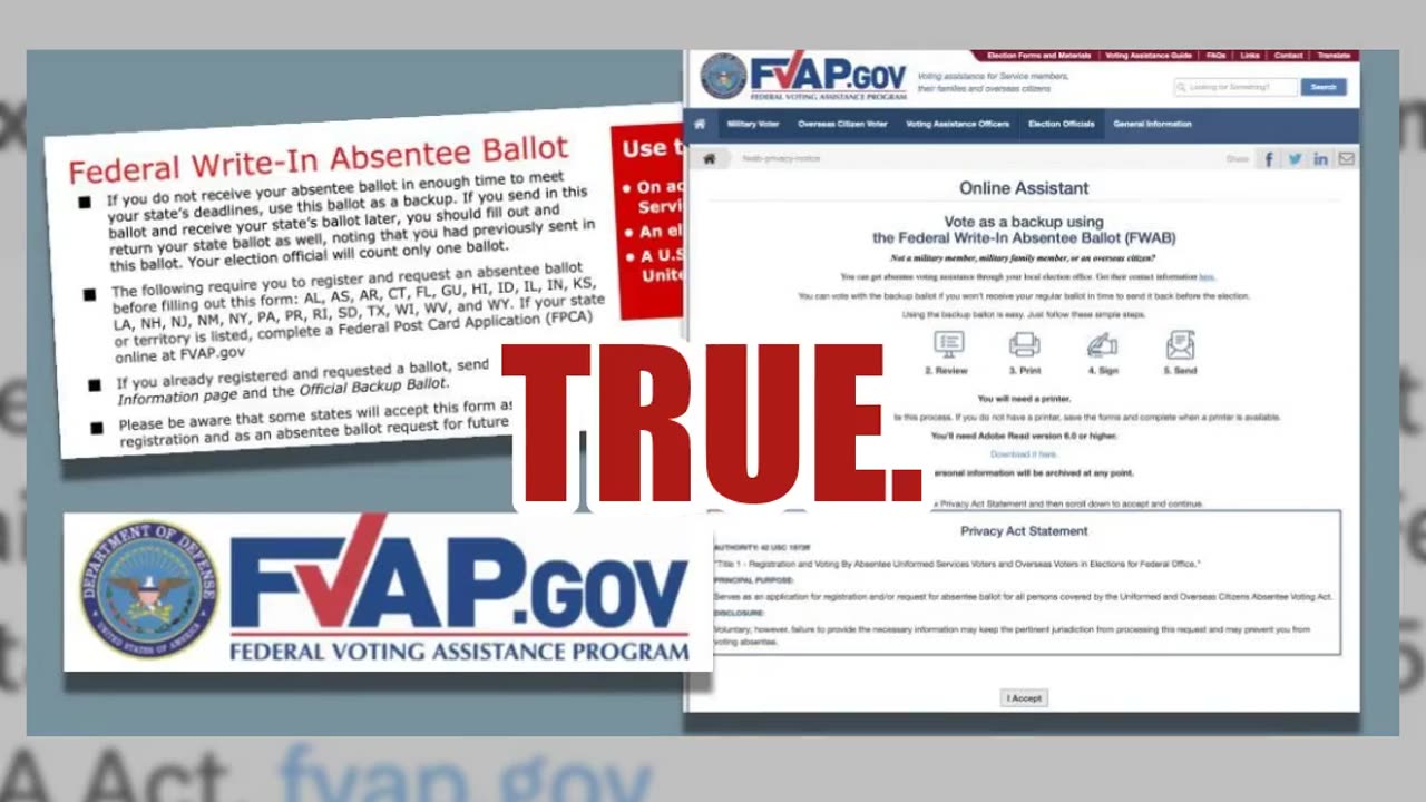 Fact Check: Military Did NOT Fail 'To Provide Service Members With Backup Absentee Ballots'