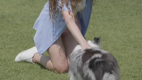 New dogs video dog funny video2023😮😮