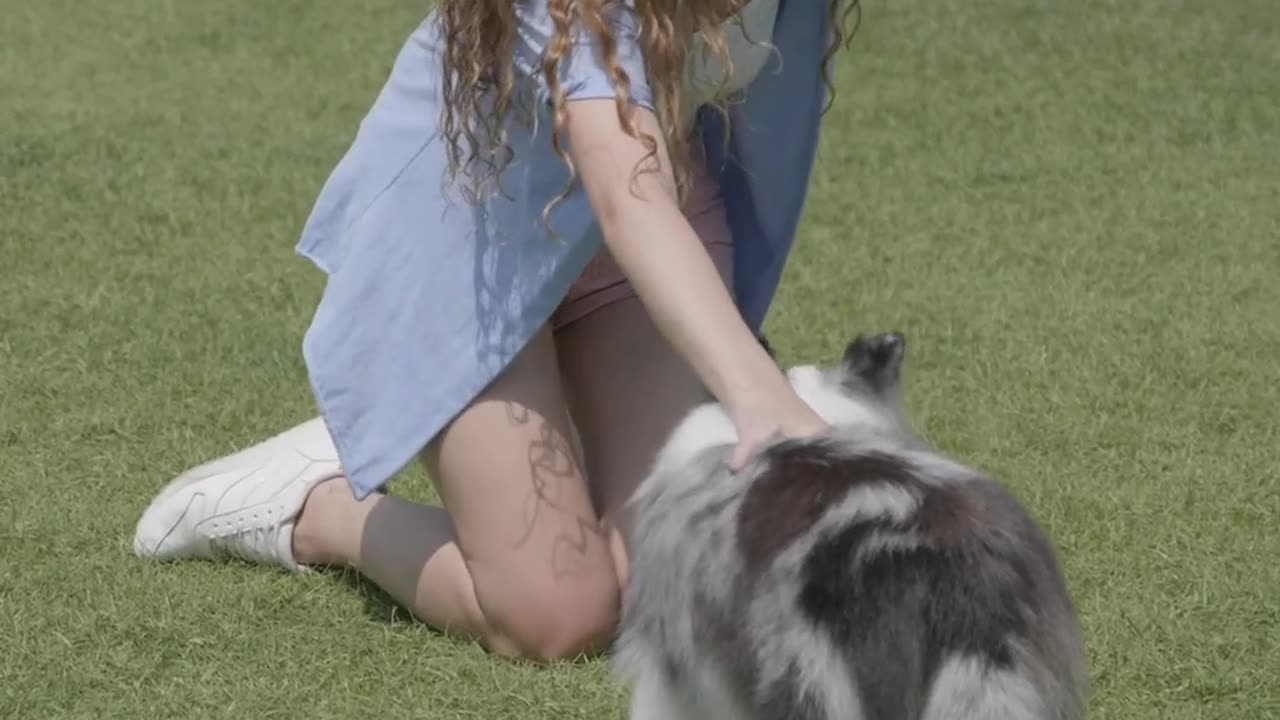 New dogs video dog funny video2023😮😮