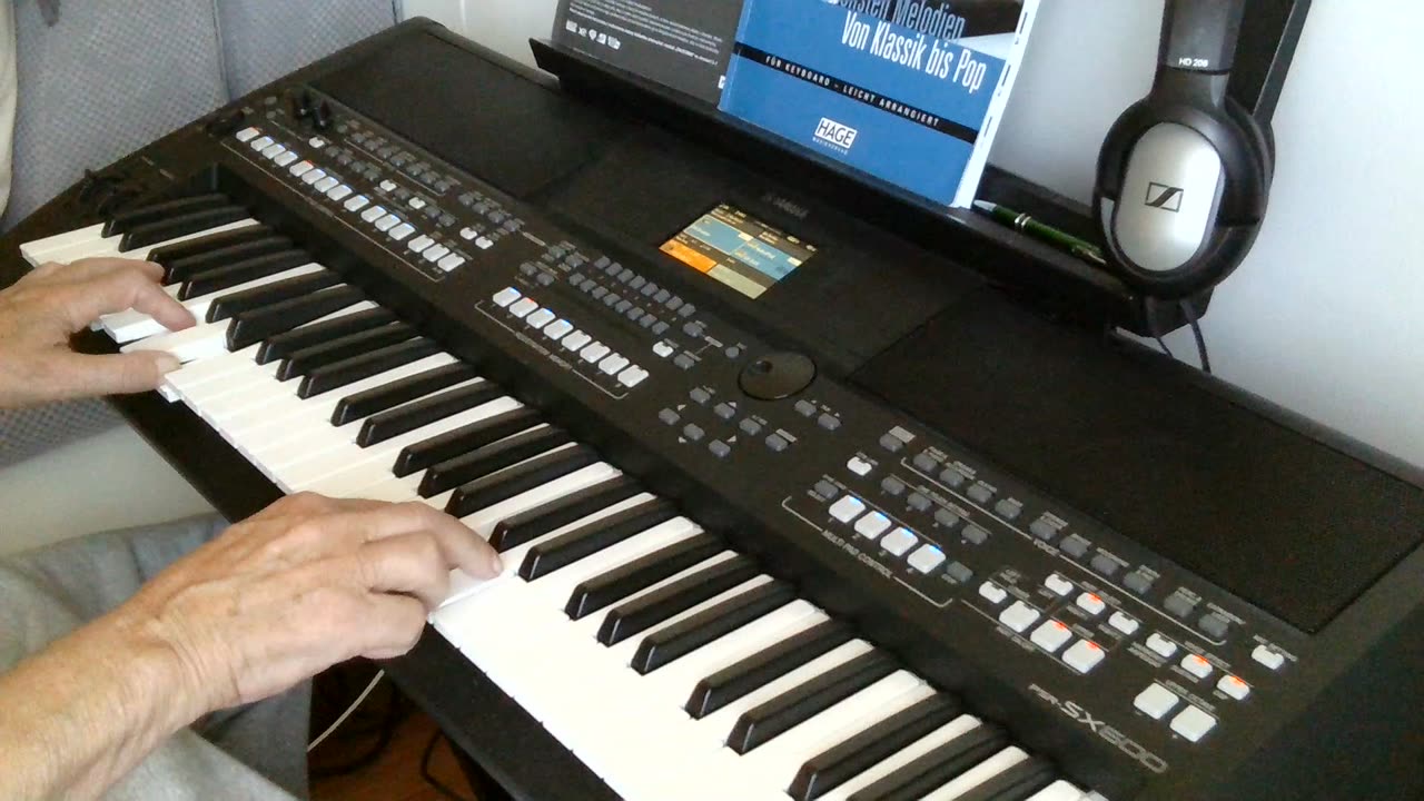 Sierra madre del Sur (Semino Rossi) cover by Henry, Yamaha PSR-SX600