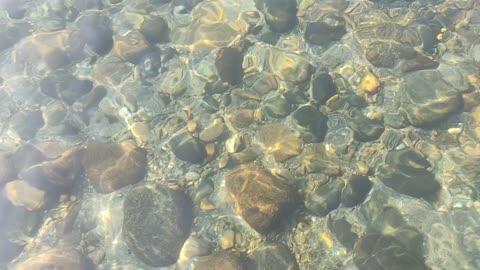 The beautiful under Water
