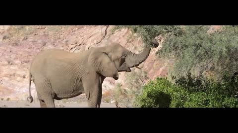 Travelling the world - Be a Traveller - Inspire Holidays