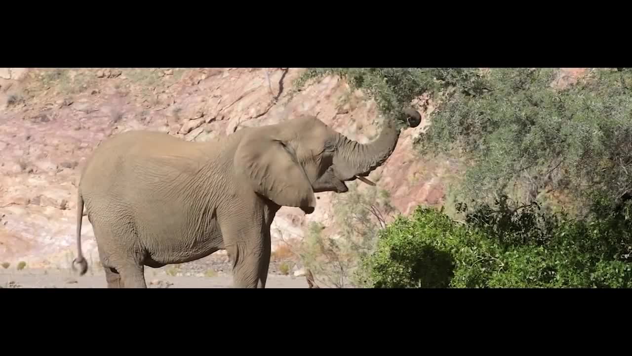 Travelling the world - Be a Traveller - Inspire Holidays