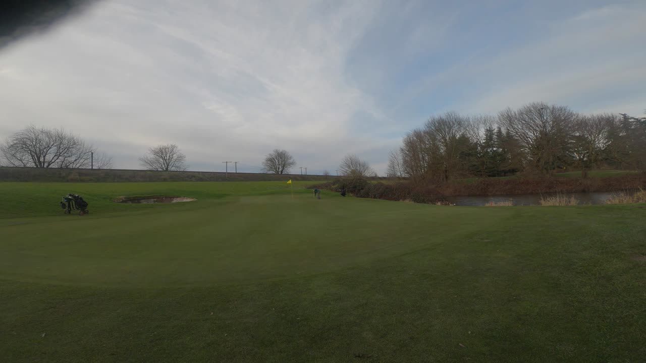 Great Blue Back 9