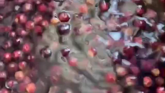 Kis kis ko faalse ka juice pasand hai