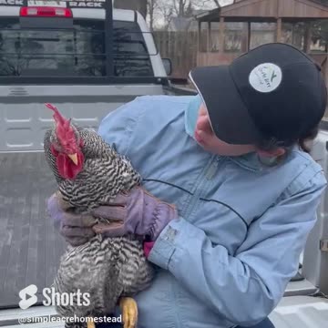 New ruler of the ROOST