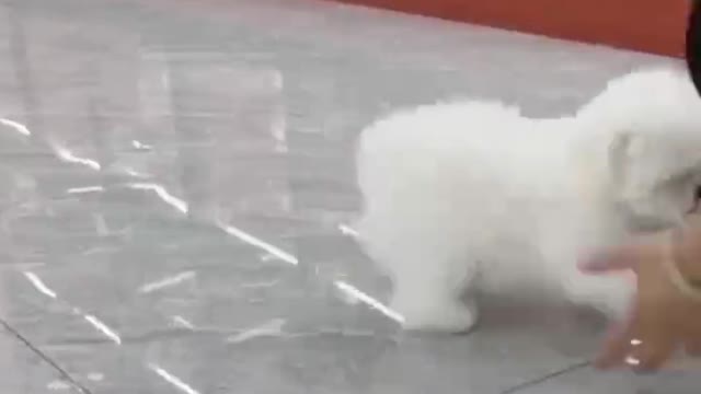 It's too cute, and it's super sticky