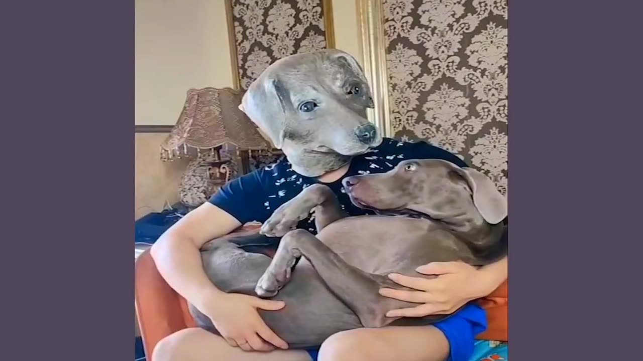 DOG HATES THIS MOM 😂