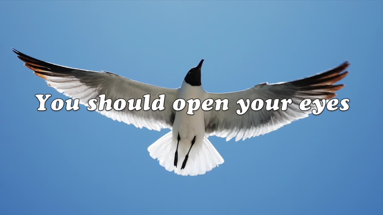 Dolores O'Riordan - Accept Things (with Lyrics)