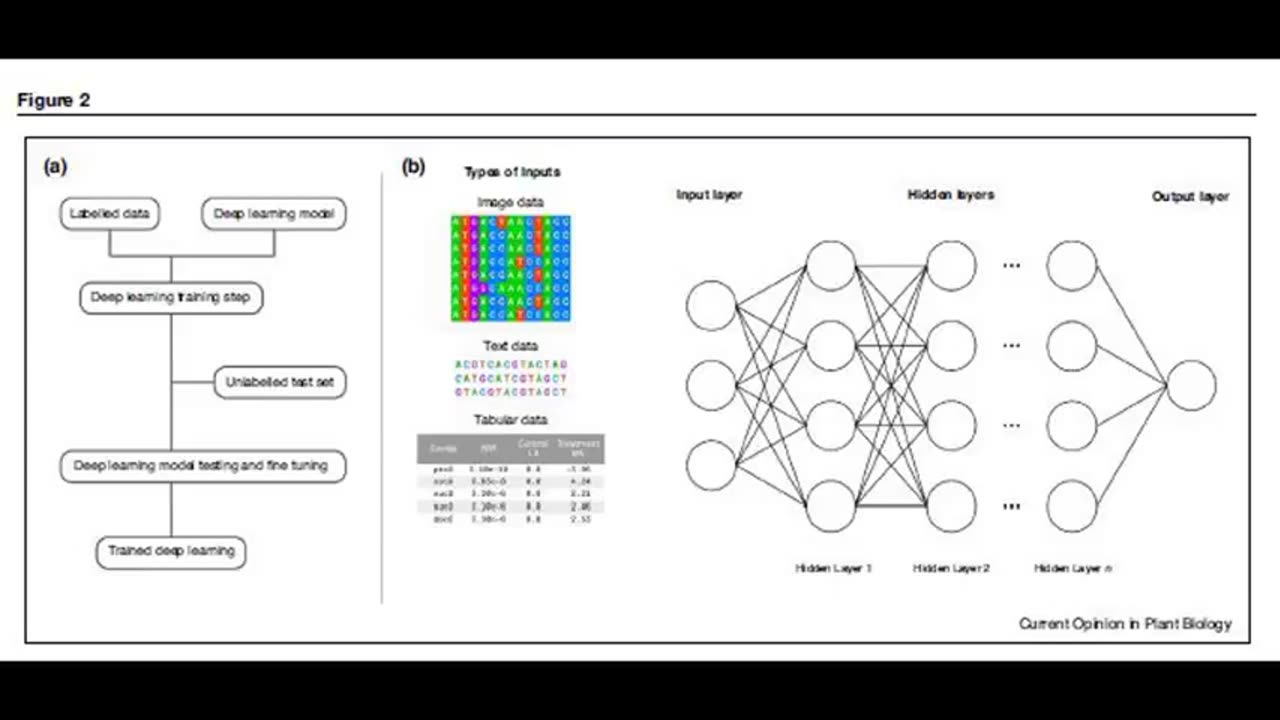 Odds and Ends S2 Ep 2 The Pangenome Discovery and Application