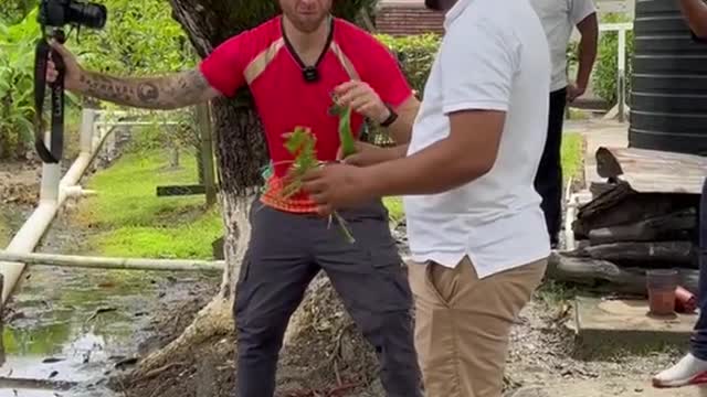 Fresh Herbs from the Garden in Guyana