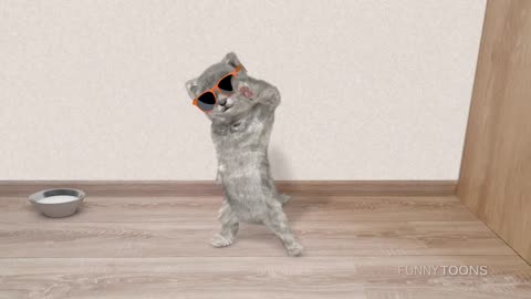 Cat dancing #funny Video#funny