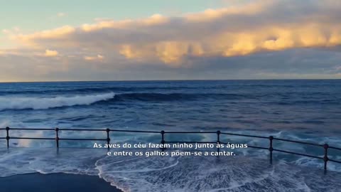 SALMOS 104