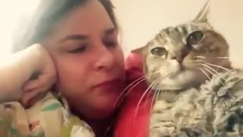 Kitty says "No"