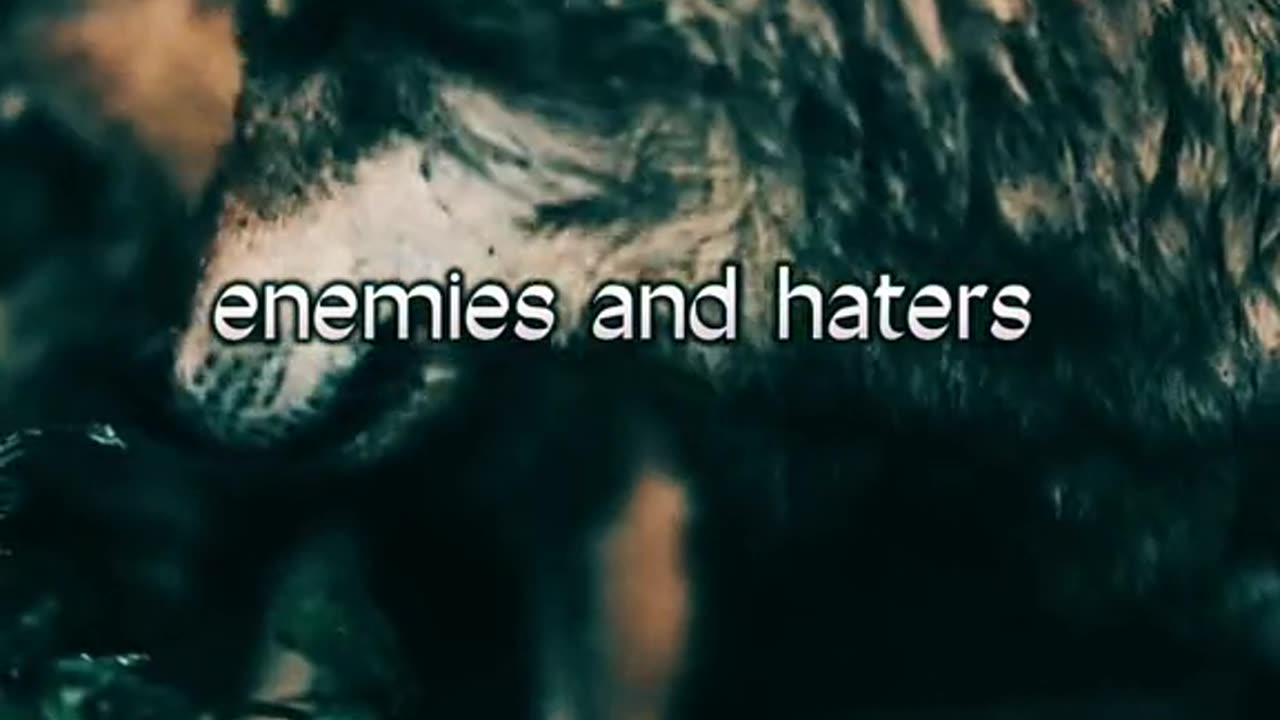 Motivational Words Episode 2