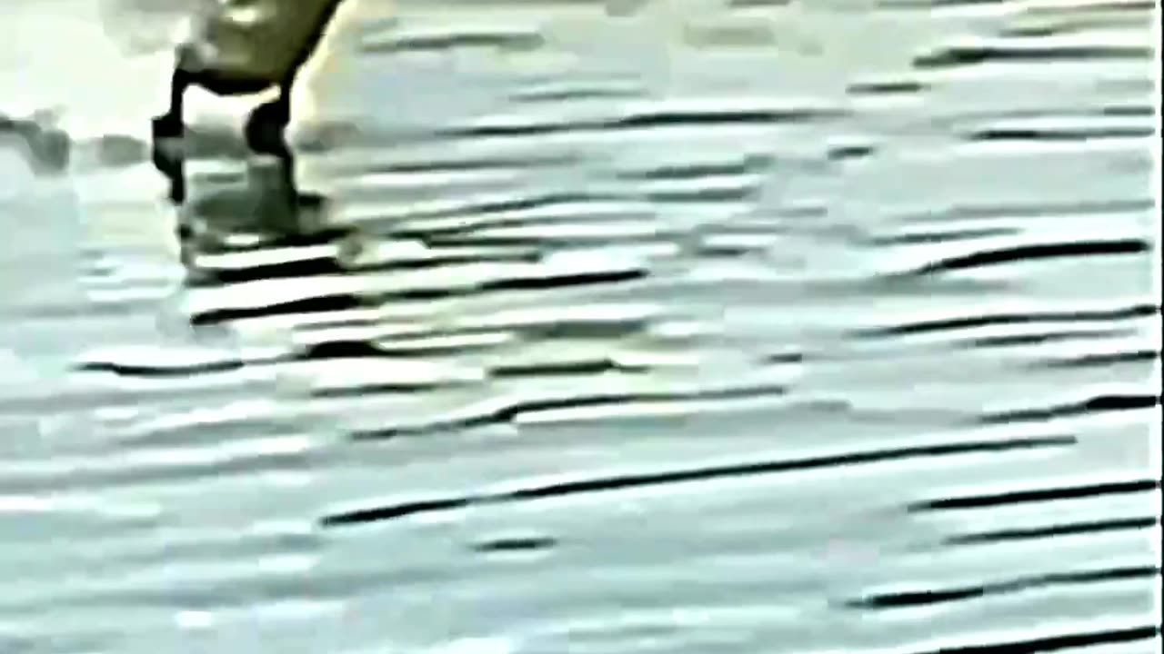 🤣🤣