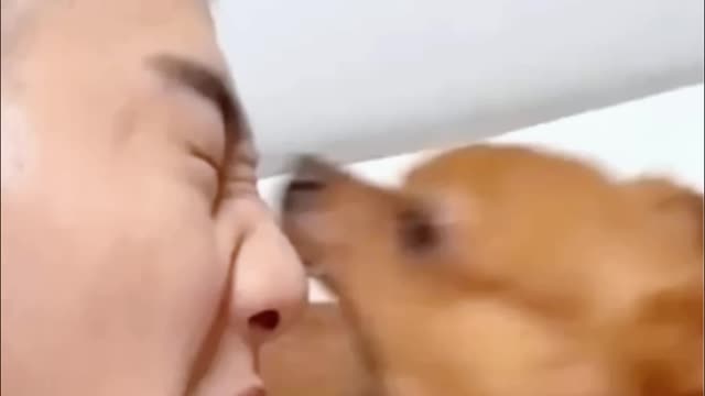 New Funny Videos 2023 😍 Cutest Cats and Dogs