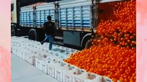 The boys Moment - Tomato rain from truck