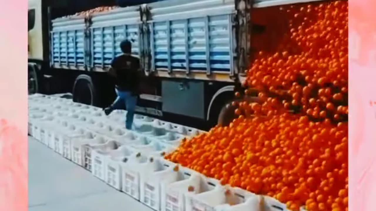 The boys Moment - Tomato rain from truck