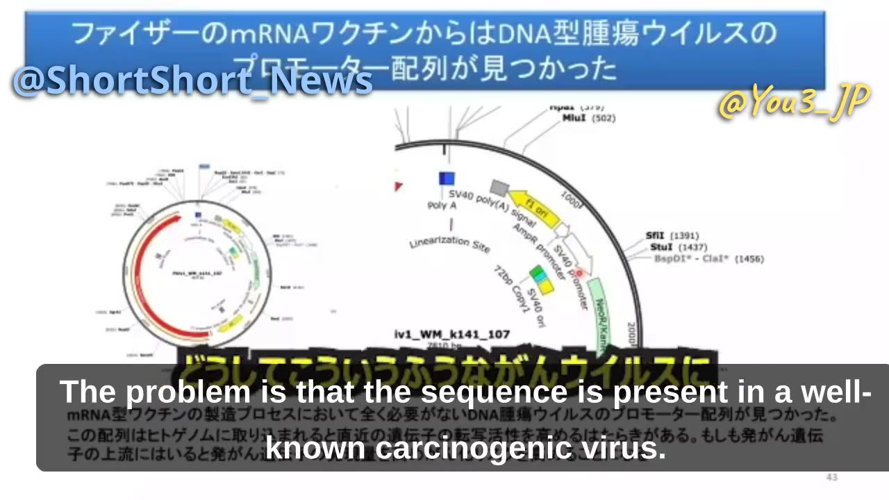 Japanese professor Murakami of Tokyo University of Science makes an astonishing finding