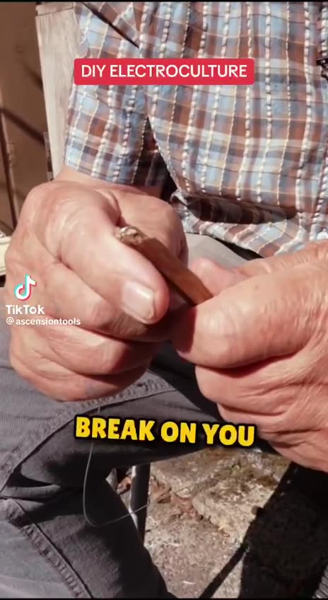 Electroculture…! 👍🏻
