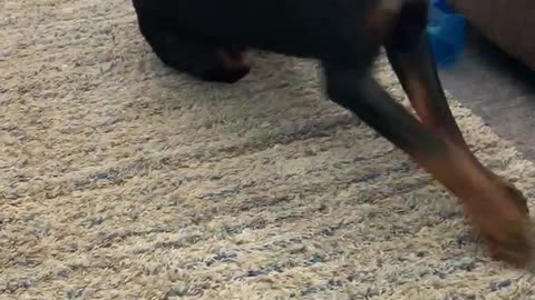 Big Foot is pouting no one will play ball