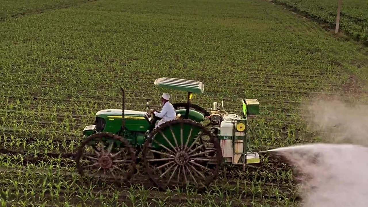 CRC vídeos curiosos