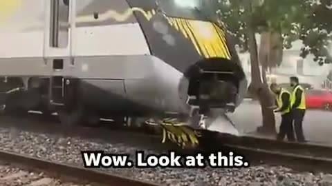 Train won