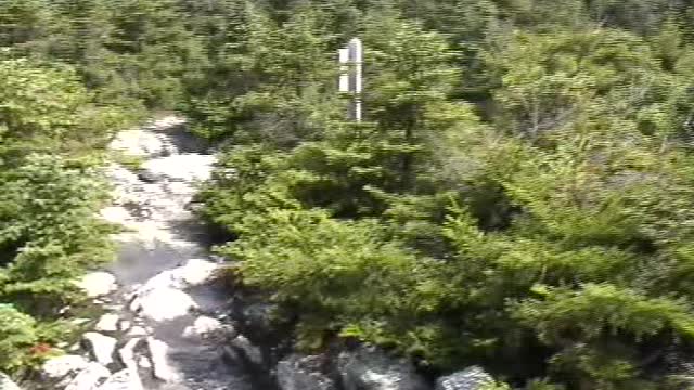 Mount Abraham