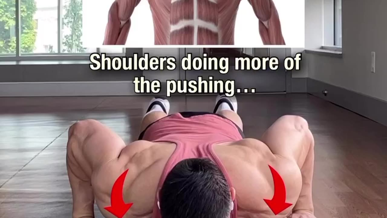 The Right way to do pushup 💪