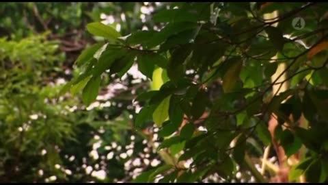 Robinson S11E10