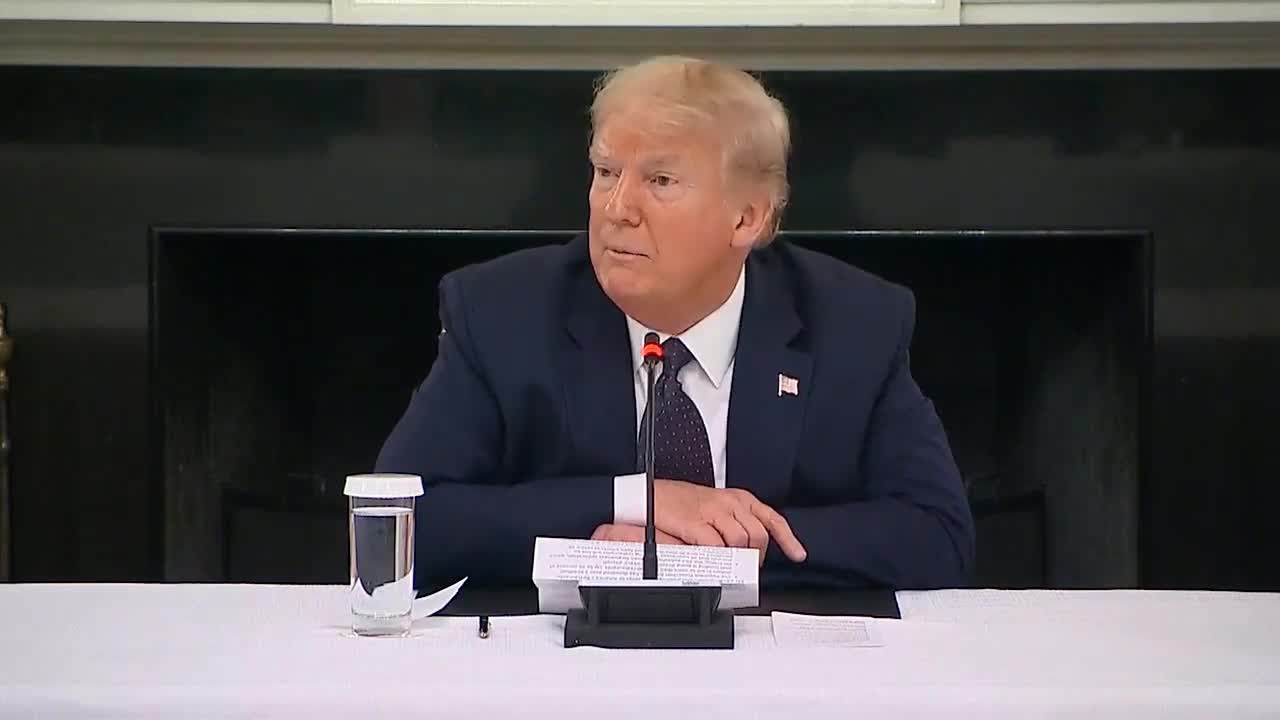 President Trump On Using Dr. Vladimir Zelenko's Hydroxychloroquine Protocol