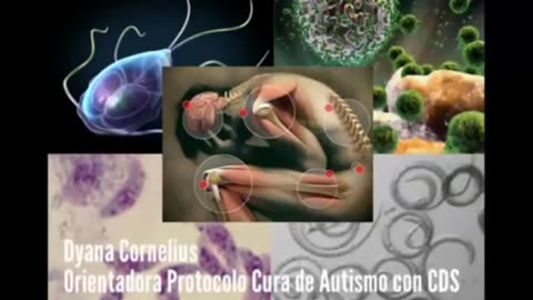 Comer insectos genera parasitos en el cuerpo. Agenda 2030. Vacunas