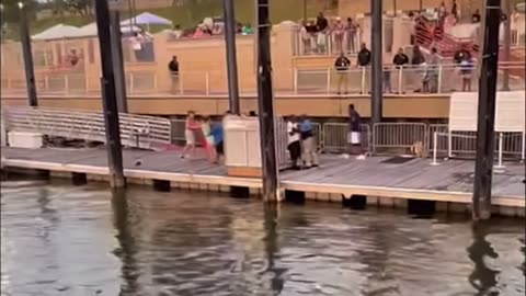 Alabama Dock Fight