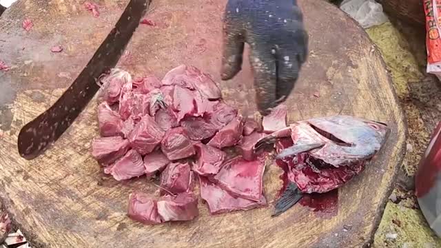 Tuna Fish Cutting