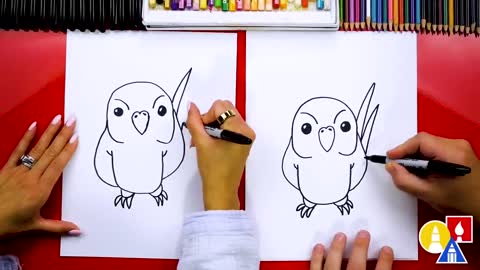 How To Draw A Kakapo Bird From New Zealand