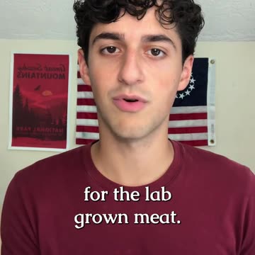 CREATING FLIES TO MAKE MEAT PRODUCTS