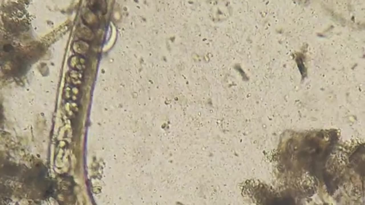 Non comprate sta merda !!!