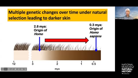 HOT Topic – The Evolution of Skin Tones A Reflection of Human Adaptation and Health