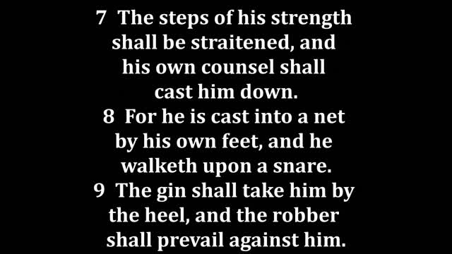 Job 18 King James version