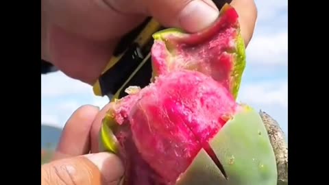 Most amazing fruits