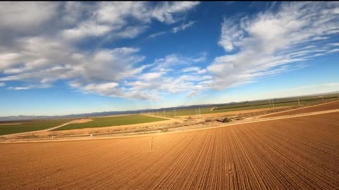 Flying over Cotton Fields