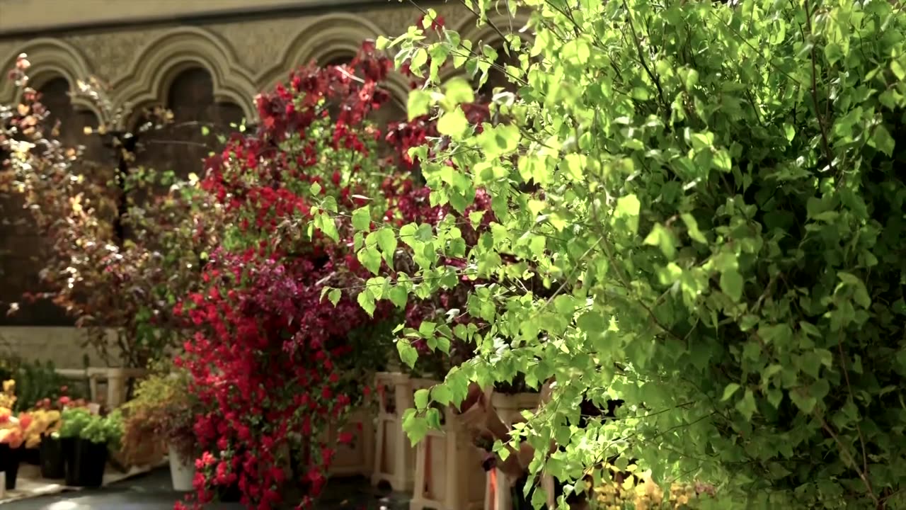 'Sustainable' flowers at King Charles’ coronation