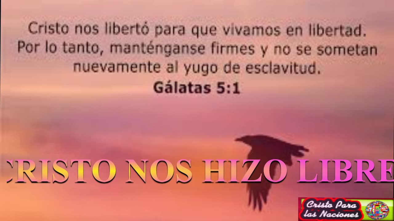 CRISTO NOS HIZO LIBRES_Devocional