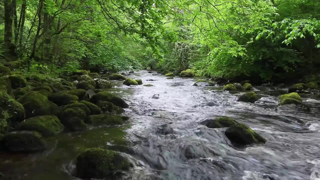 Relaxing Nature Sounds